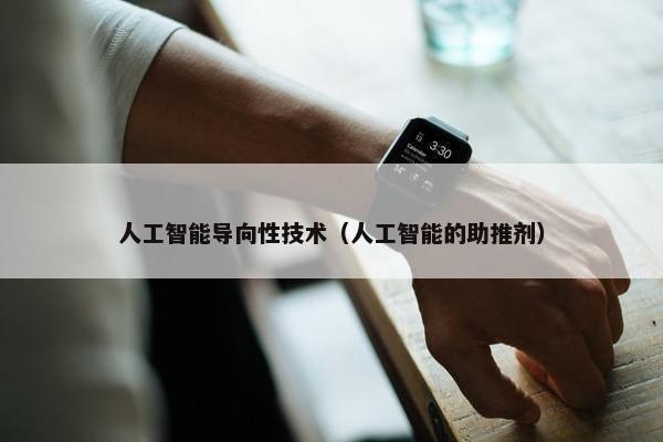 人工智能导向性技术（人工智能的助推剂）