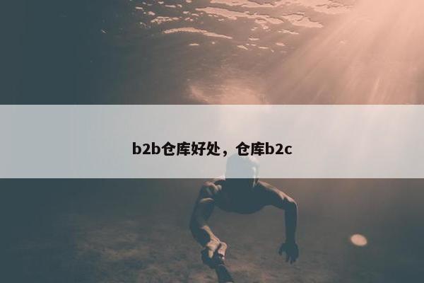 b2b仓库好处，仓库b2c