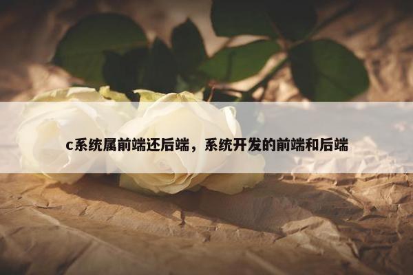 c系统属前端还后端，系统开发的前端和后端