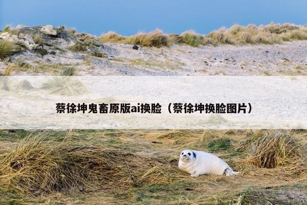 蔡徐坤鬼畜原版ai换脸（蔡徐坤换脸图片）