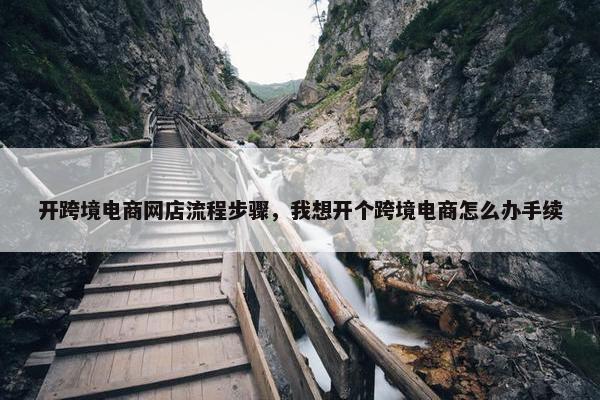 开跨境电商网店流程步骤，我想开个跨境电商怎么办手续