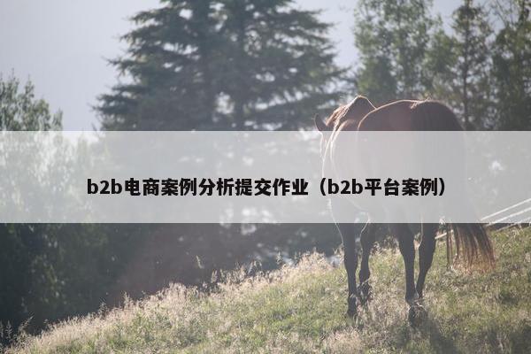 b2b电商案例分析提交作业（b2b平台案例）