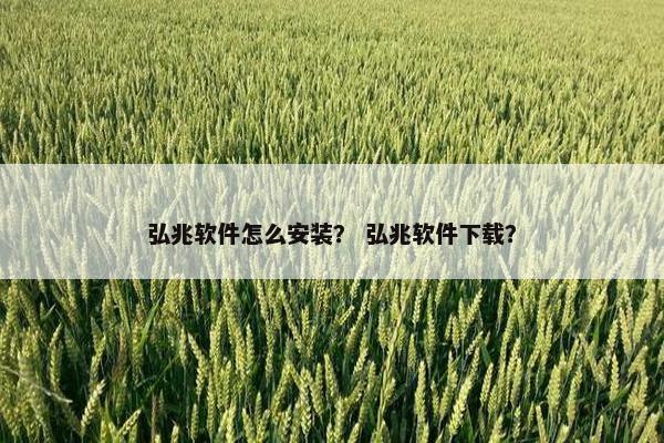弘兆软件怎么安装？ 弘兆软件下载？