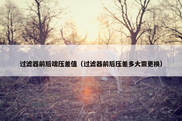 过滤器前后端压差值（过滤器前后压差多大需更换）