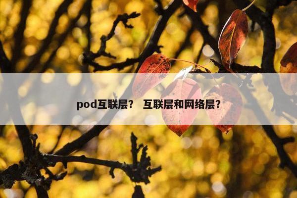 pod互联层？ 互联层和网络层？