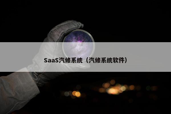 SaaS汽修系统（汽修系统软件）