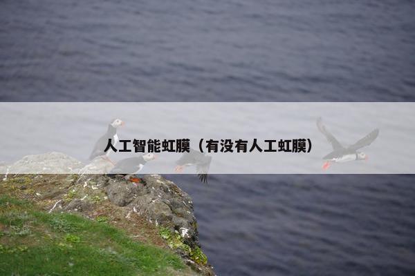 人工智能虹膜（有没有人工虹膜）