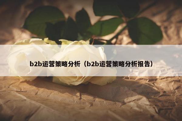 b2b运营策略分析（b2b运营策略分析报告）