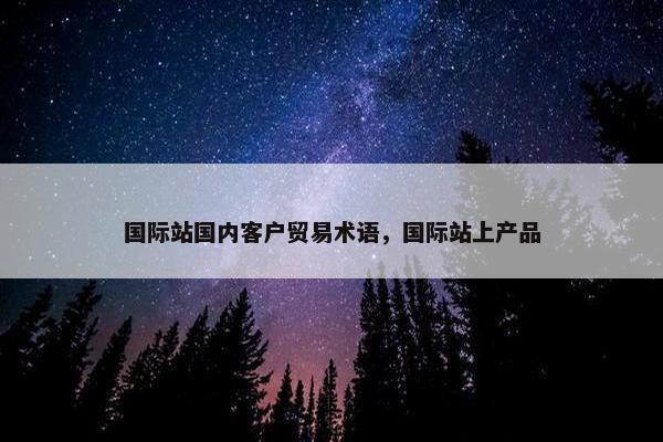 国际站国内客户贸易术语，国际站上产品
