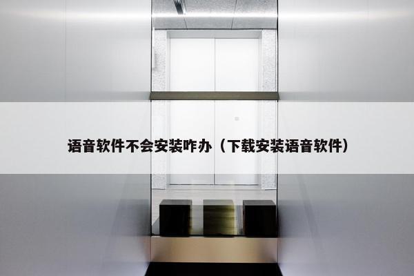 语音软件不会安装咋办（下载安装语音软件）