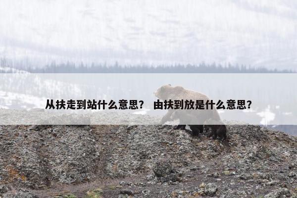 从扶走到站什么意思？ 由扶到放是什么意思？