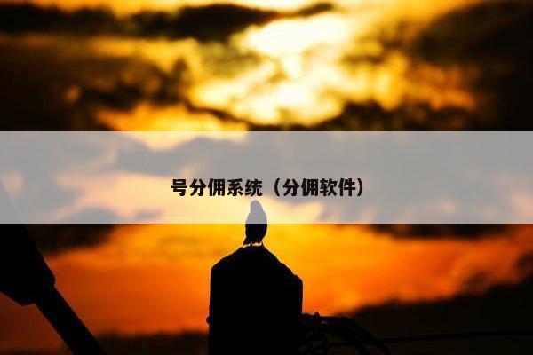 号分佣系统（分佣软件）