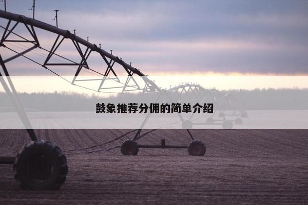 鼓象推荐分佣的简单介绍