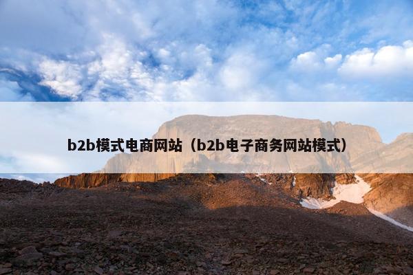 b2b模式电商网站（b2b电子商务网站模式）