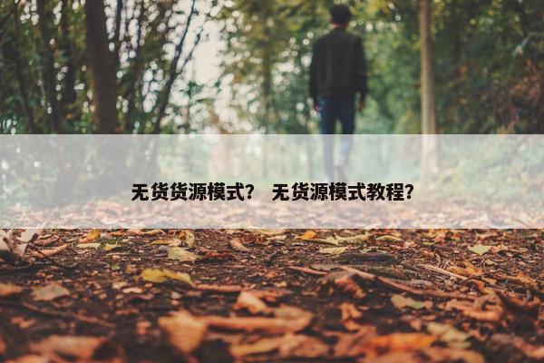 无货货源模式？ 无货源模式教程？