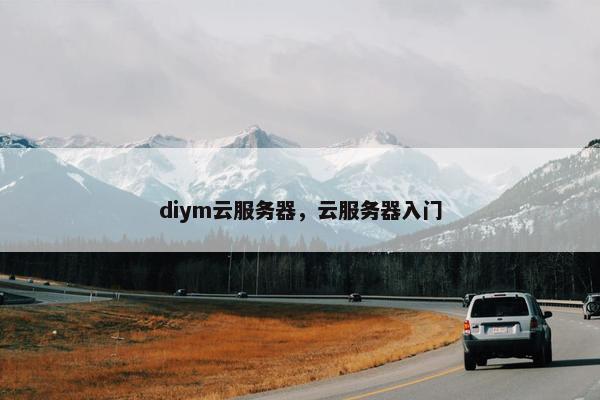 diym云服务器，云服务器入门