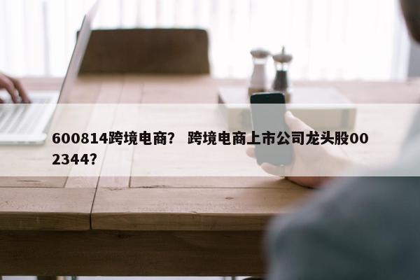 600814跨境电商？ 跨境电商上市公司龙头股002344？