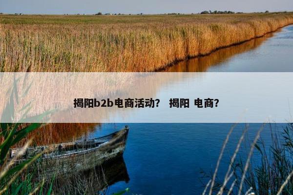 揭阳b2b电商活动？ 揭阳 电商？