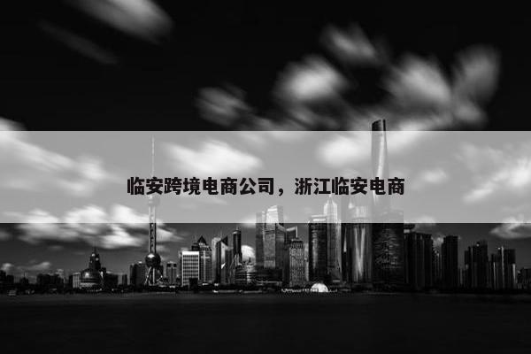 临安跨境电商公司，浙江临安电商