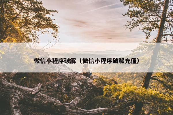 微信小程序破解（微信小程序破解充值）