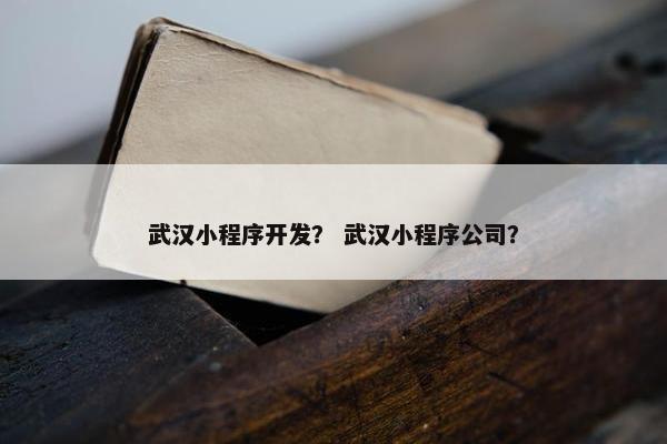 武汉小程序开发？ 武汉小程序公司？