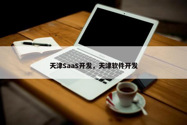 天津SaaS开发，天津软件开发