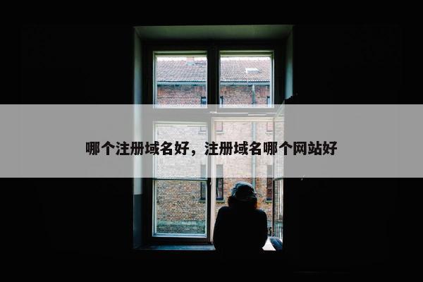 哪个注册域名好，注册域名哪个网站好