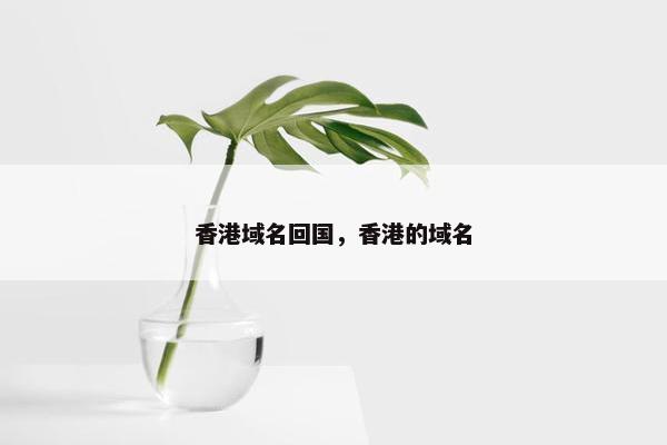 香港域名回国，香港的域名