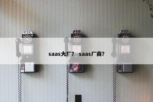 saas大厂？ saas厂商？