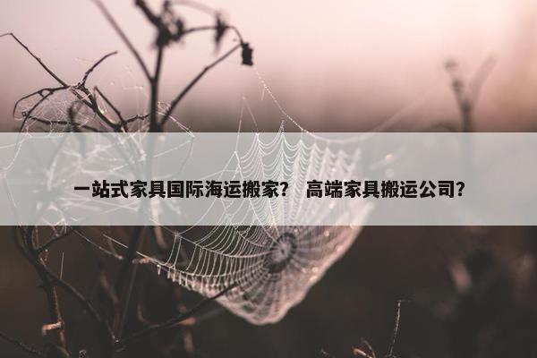 一站式家具国际海运搬家？ 高端家具搬运公司？