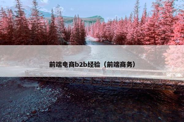 前端电商b2b经验（前端商务）