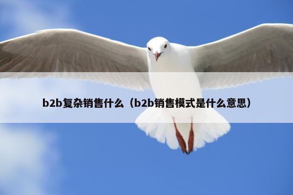 b2b复杂销售什么（b2b销售模式是什么意思）