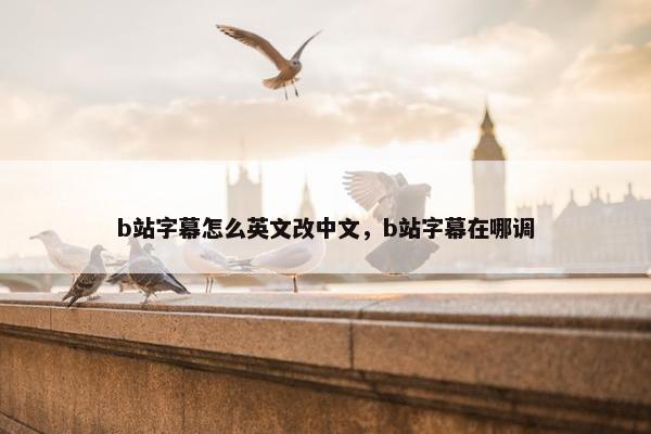 b站字幕怎么英文改中文，b站字幕在哪调