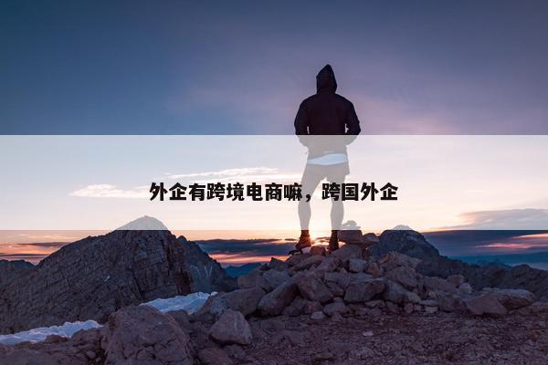 外企有跨境电商嘛，跨国外企