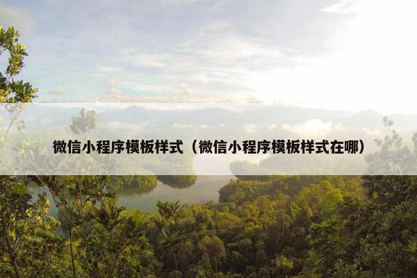 微信小程序模板样式（微信小程序模板样式在哪）