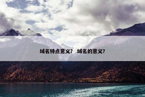 域名特点意义？ 域名的意义？