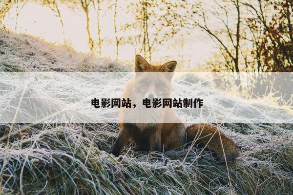 电影网站，电影网站制作