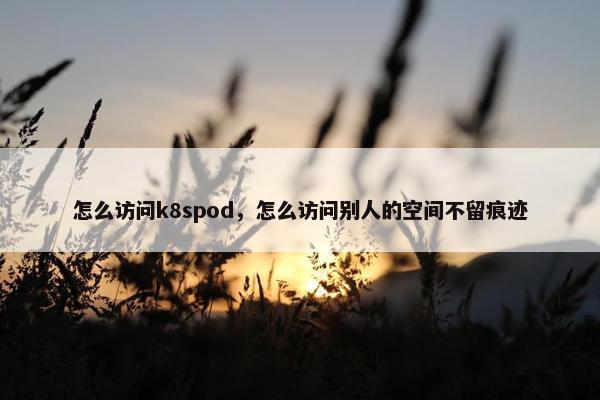 怎么访问k8spod，怎么访问别人的空间不留痕迹