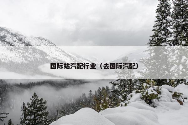 国际站汽配行业（去国际汽配）