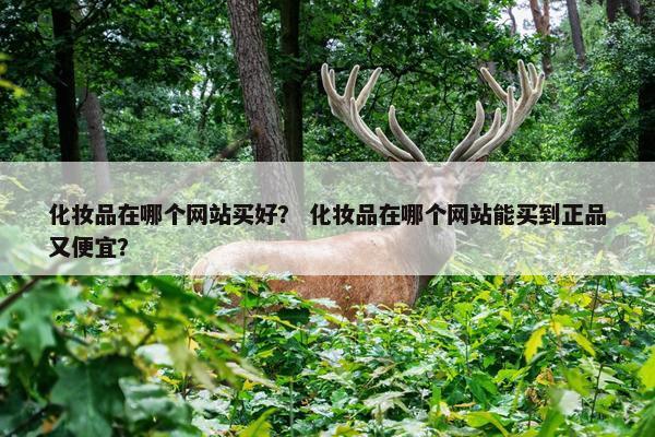 化妆品在哪个网站买好？ 化妆品在哪个网站能买到正品又便宜？