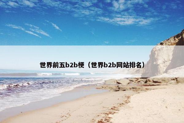 世界前五b2b梗（世界b2b网站排名）