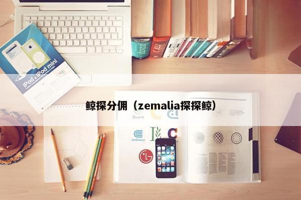 鲸探分佣（zemalia探探鲸）