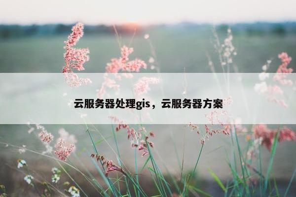 云服务器处理gis，云服务器方案