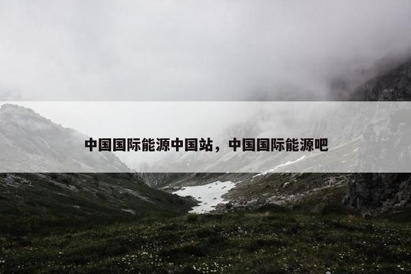 中国国际能源中国站，中国国际能源吧