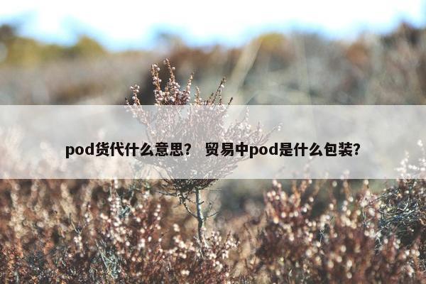 pod货代什么意思？ 贸易中pod是什么包装？