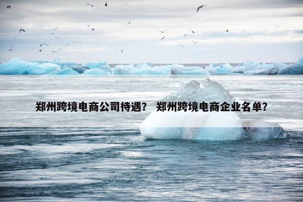 郑州跨境电商公司待遇？ 郑州跨境电商企业名单？