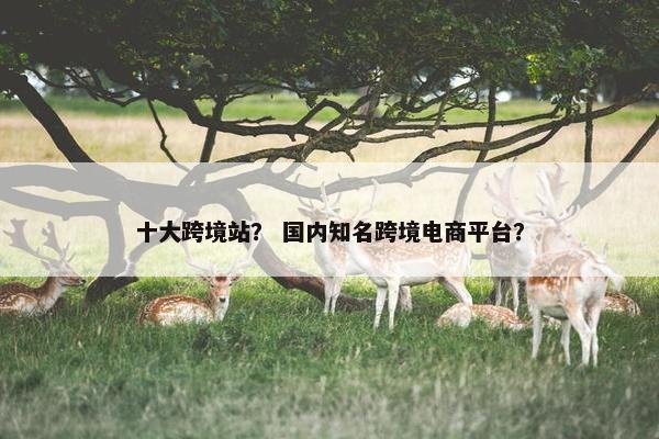 十大跨境站？ 国内知名跨境电商平台？