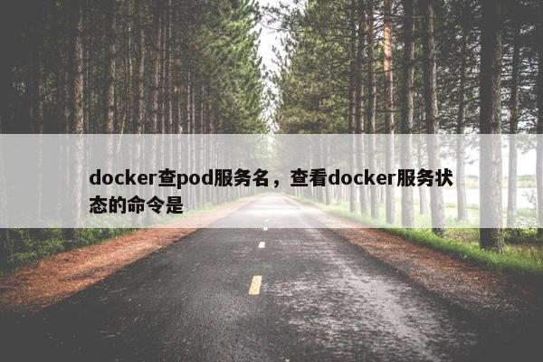 docker查pod服务名，查看docker服务状态的命令是