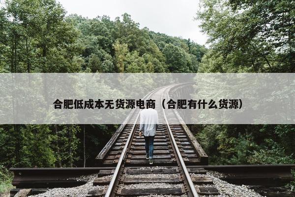 合肥低成本无货源电商（合肥有什么货源）