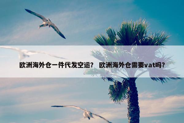 欧洲海外仓一件代发空运？ 欧洲海外仓需要vat吗？
